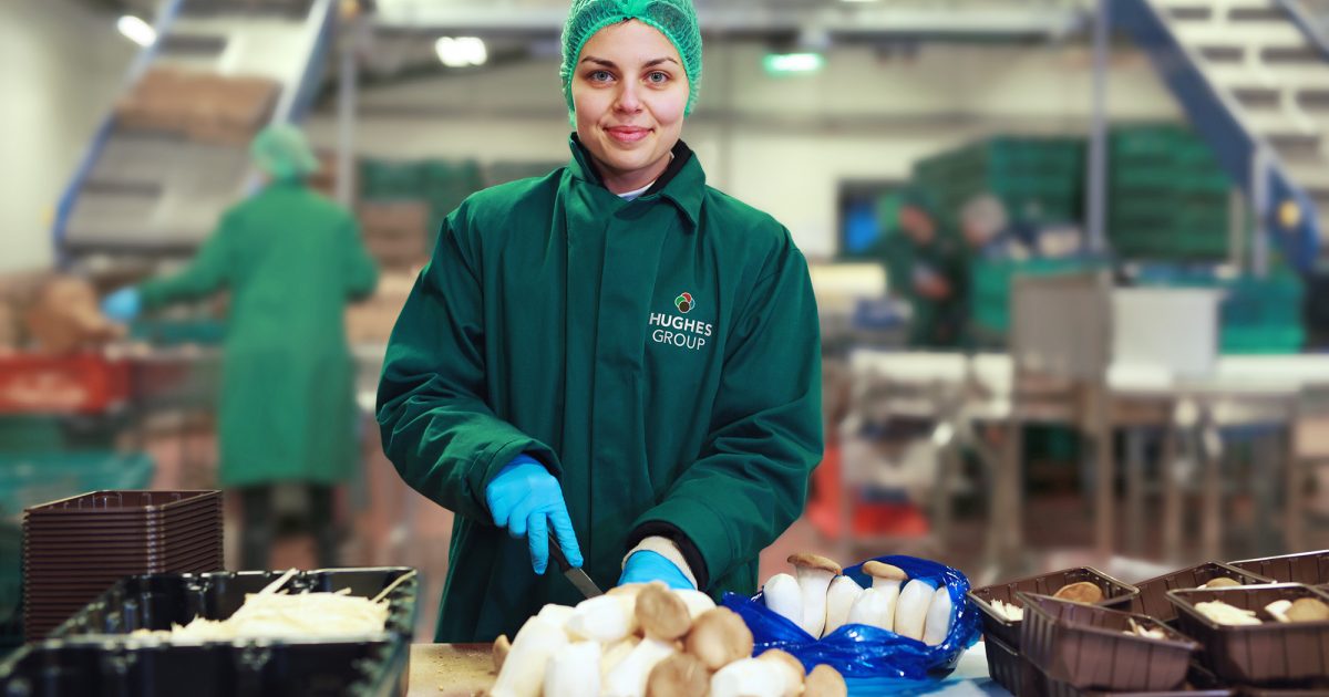 Careers Hughes Mushrooms